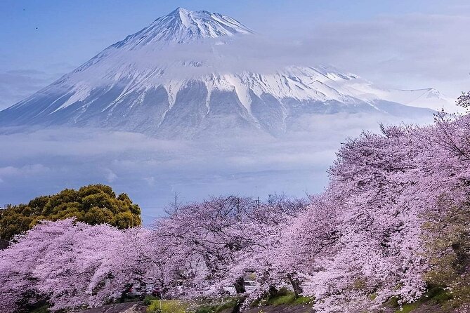 Mt. Fuji and Hakone Private Tour with English Speaking Driver - The day in a nutshell