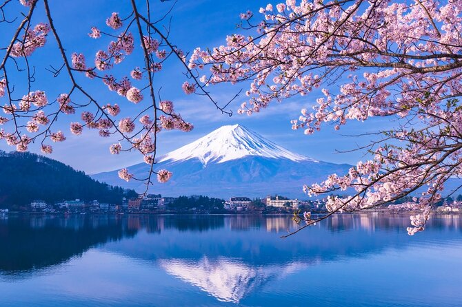 Mt. Fuji and Hakone Private Tour with English Speaking Driver - Oshino Hakkai: eight springs and a slower beginning