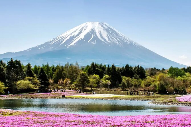 Mt. Fuji and Hakone Private Tour with English Speaking Driver - Oishi Park: flowers, water, and a classic view