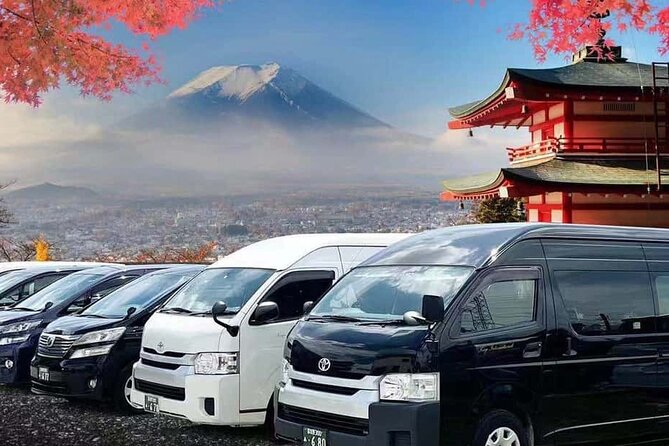 Mt. Fuji and Hakone Private Tour with English Speaking Driver - Arakurayama Sengen Park and the 398-step climb