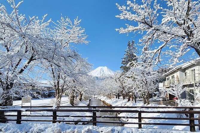 Mt. Fuji and Hakone Private Tour with English Speaking Driver - Mt. Fuji 5th Station at 2,200 meters
