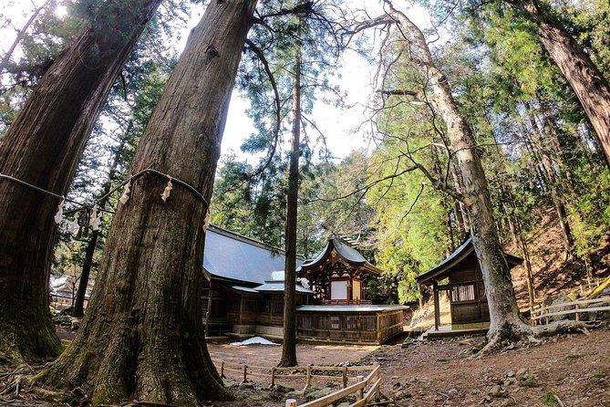 Mt Fuji Area Private Guided Tours in English-Nature up close, quiet, personal - Entering Aokigahara Jukai, the Sea of Trees