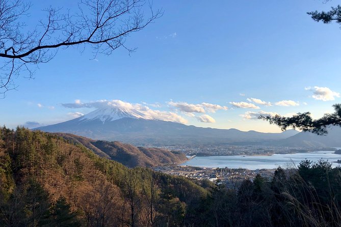 Mt Fuji Area Private Guided Tours in English-Nature up close, quiet, personal - Mother’s White Falls and the Teru River