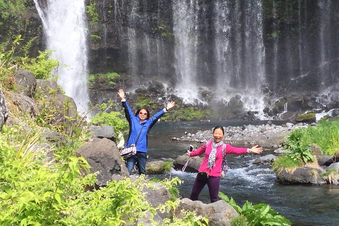 Mt.Fuji area Tour from Shimizu Port / Van Taxi - Wheelchair access and group comfort