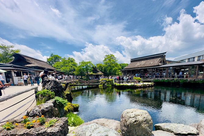 Mt. Fuji, Cherry Blossom & Shiba Sakura Pvt. Day Tour - Oishi Park: flowers beside the lake