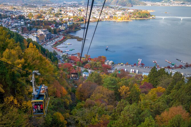 Mt Fuji Customizable Private Tour English Speaking Driver Pick-up - Oishi Park and Lake Kawaguchi