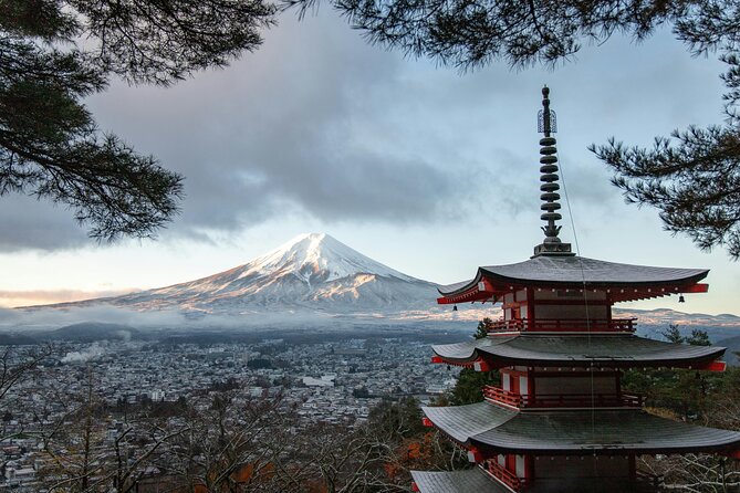 Mt FUJI Day Tour with Private Car and English Speaking Guide - Key points before you book