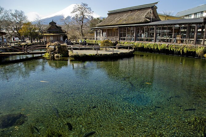 Mt FUJI Day Tour with Private Car and English Speaking Guide - What the $440 private price really buys you