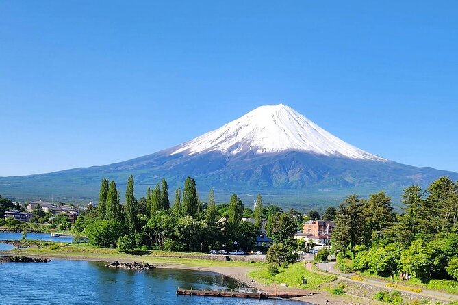 Mt FUJI Day Tour with Private Car and English Speaking Guide - Chureito Pagoda and the famous Fuji view