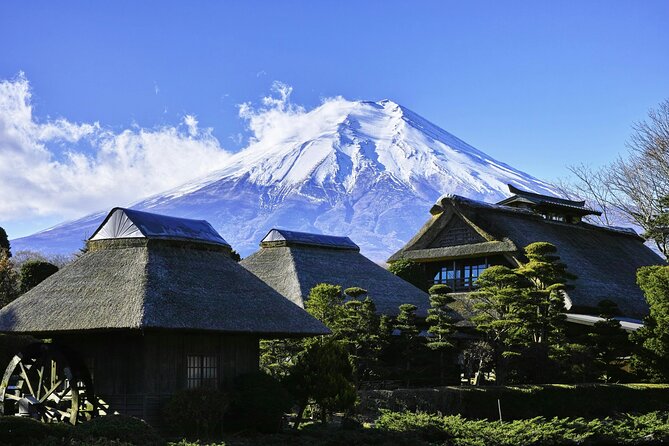 Mt FUJI Day Tour with Private Car and English Speaking Guide - The Fifth Station at 2,300 meters
