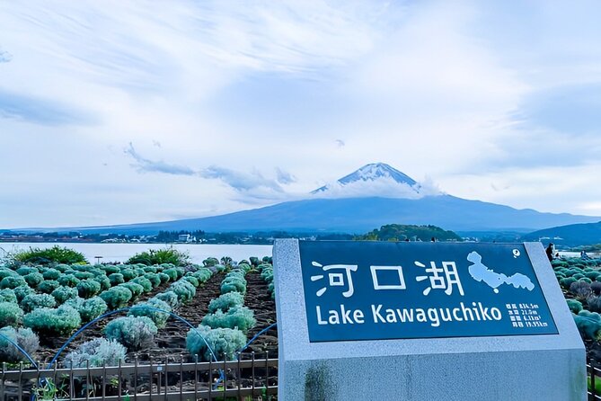 Mt FUJI Day Tour with Private Car and English Speaking Guide - The Tokyo pickup and the long road west