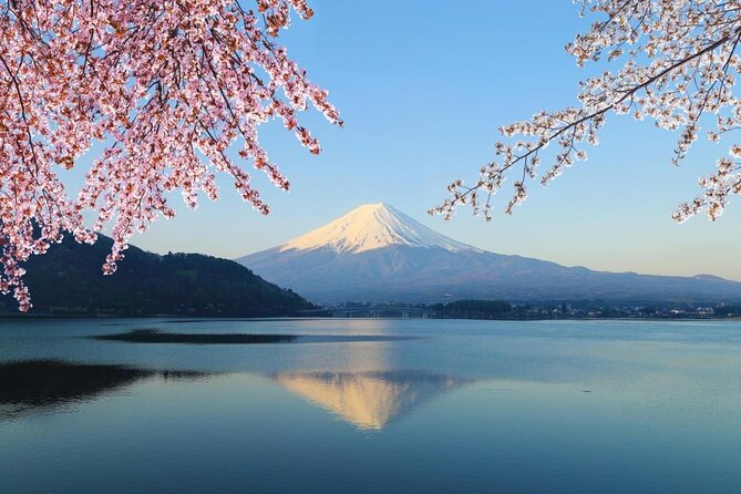 Mt. Fuji Day Trip from Tokyo with English Speaking Driver Guide - The essential facts before you book