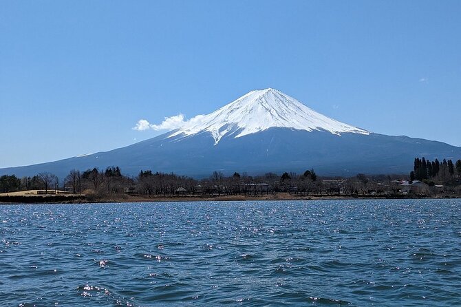 Mt. Fuji Day Trip from Tokyo with English Speaking Driver Guide - Why a private Fuji day trip makes sense from Tokyo