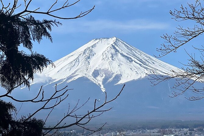 Mt. Fuji Day Trip from Tokyo with English Speaking Driver Guide - Oshino Hakkai and its old village setting