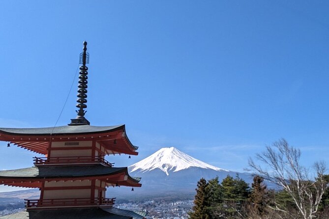 Mt. Fuji Day Trip from Tokyo with English Speaking Driver Guide - Mt. Fuji 5th Station at 2,300 meters