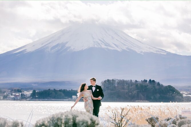 Mt Fuji Exclusive Tour with Private Car English Guide - Why a private car makes Mt. Fuji easier
