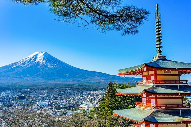 Mt. Fuji Five Lakes Area Private Tour with Licensed Guide(Kawaguchiko area Dep) - Five useful things to know before booking