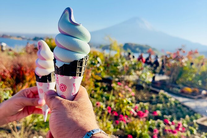 Mt. Fuji & Hakone Cherry Blossom private One Day Tour - Oshino Hakkai and Fuji spring water