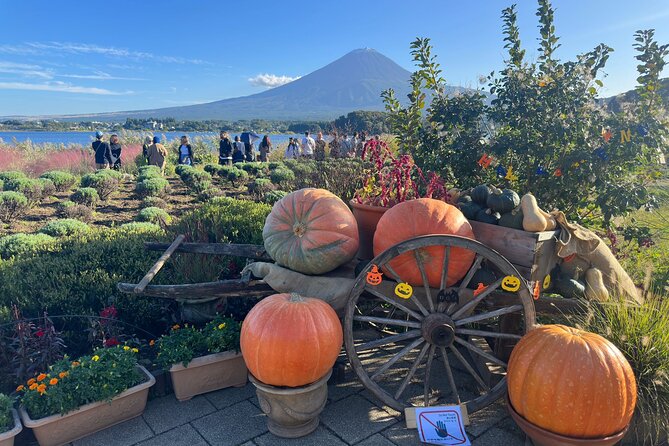 Mt. Fuji & Hakone Cherry Blossom private One Day Tour - Moto Hakone Shrine and the Torii of Peace