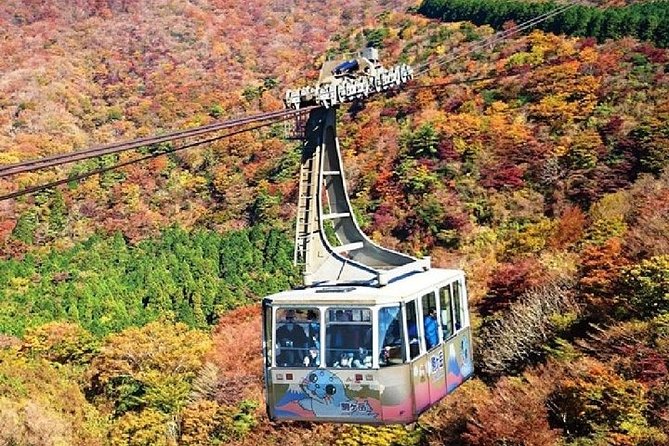 Mt Fuji & Hakone Cruise, Drum Show Bullet Train 1 Day from Tokyo - The guides make a real difference
