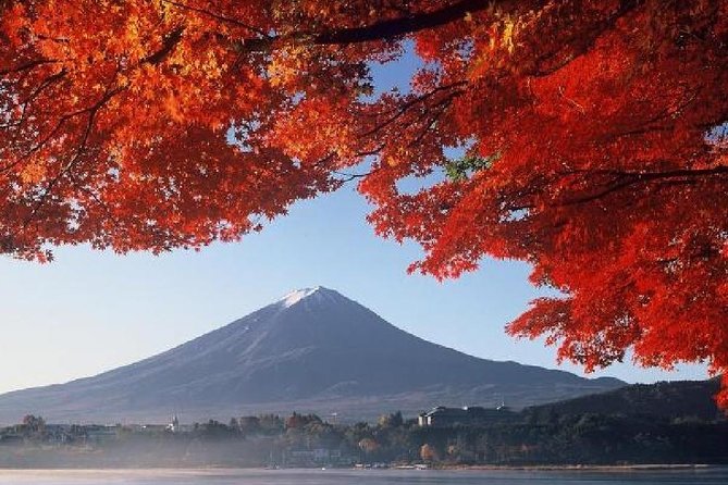 Mt Fuji & Hakone Cruise, Drum Show Bus 1 Day from Tokyo - The long ride back and drop-off choices