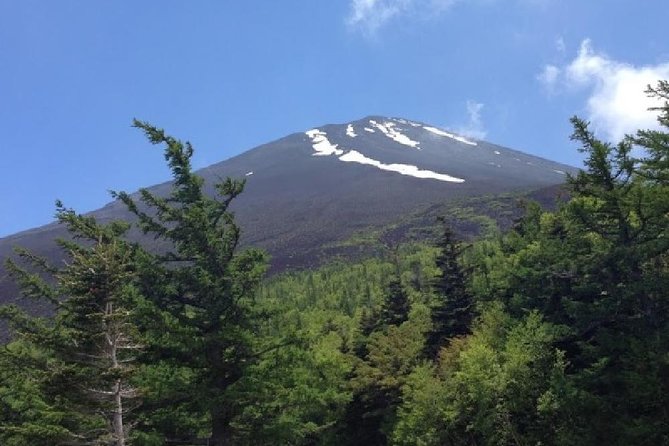 Mt Fuji & Hakone Cruise, Drum Show Bus 1 Day from Tokyo - Guide quality and the feel of the group