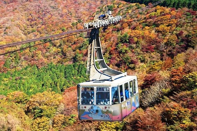 Mt Fuji & Hakone Cruise, Drum Show Bus 1 Day from Tokyo - Is $122.55 good value?