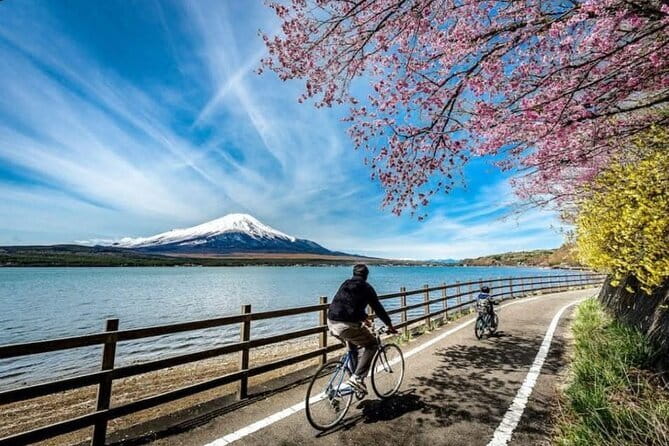 Mt fuji & Hakone customizable day tour w/ English speaking driver - Pick one area instead of chasing them all