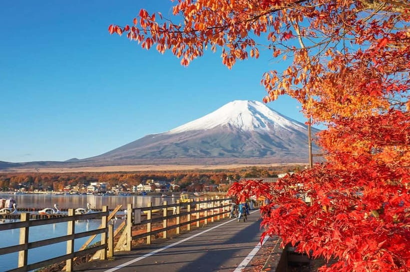 Mt Fuji Hakone/Enoshima Tour:Optional Ropeway/Lake Ashi Boat - Hakone Shrine and the red torii by Lake Ashi