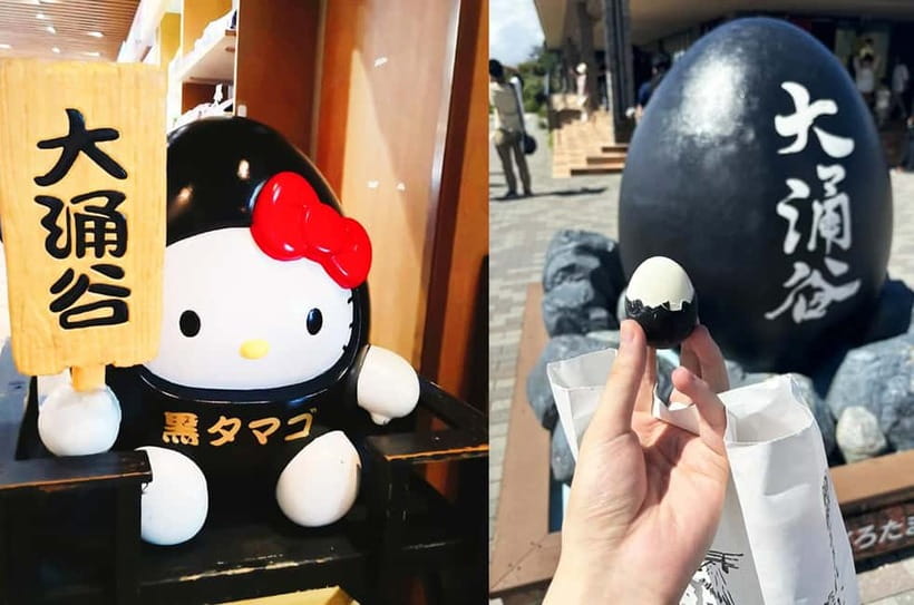 Mt Fuji Hakone/Enoshima Tour:Optional Ropeway/Lake Ashi Boat - The Hakone sightseeing cruise