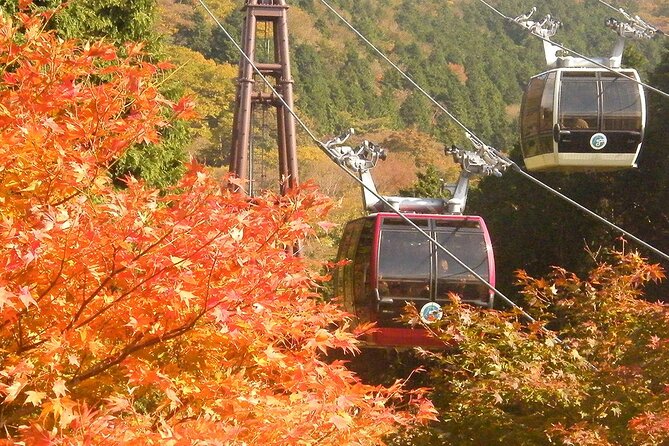 Mt. Fuji & Hakone: Fuji Sengen Shrine, Cruise, and Ramen-Making - Lake Ashi and the Hakone Pirate Ship