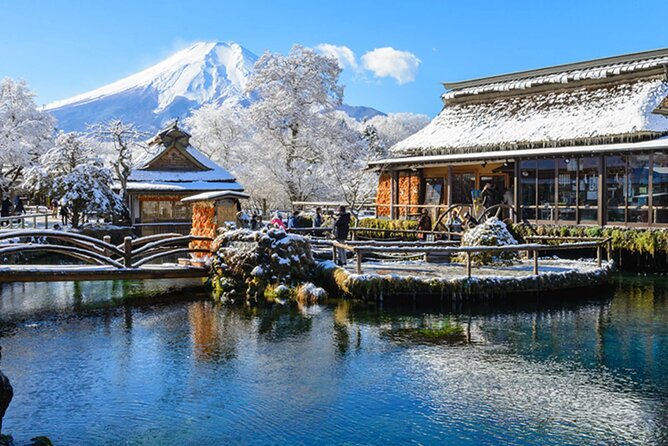 Mt. Fuji, Hakone Full-Day Private Tour with English Driver Guide - Key points to know before booking