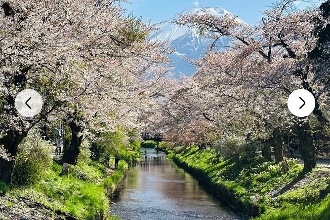 Mt. Fuji, Hakone Full-Day Private Tour with English Driver Guide - What this private day trip is really offering