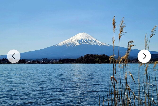 Mt. Fuji, Hakone Full-Day Private Tour with English Driver Guide - Lake Kawaguchiko and the ropeway choice