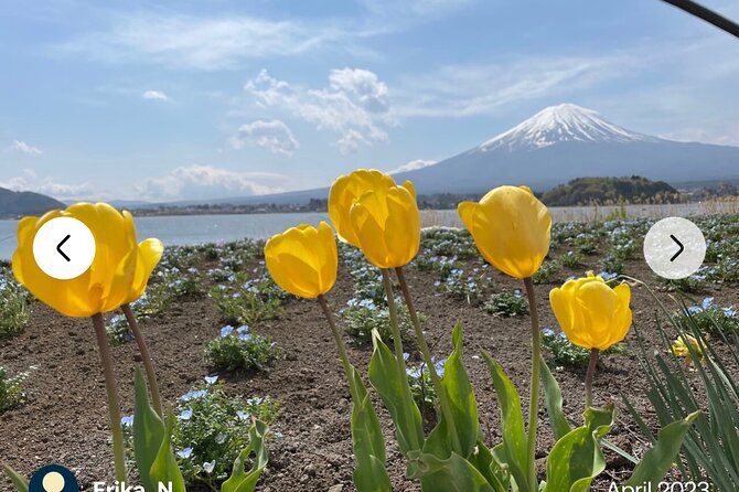 Mt. Fuji, Hakone Full-Day Private Tour with English Driver Guide - Arakurayama Sengen Park and Chureito Pagoda