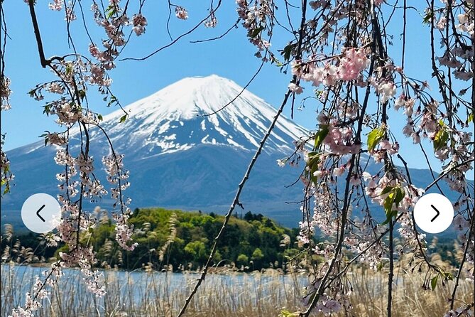 Mt. Fuji, Hakone Full-Day Private Tour with English Driver Guide - Hakone, Owakudani, and Lake Ashi