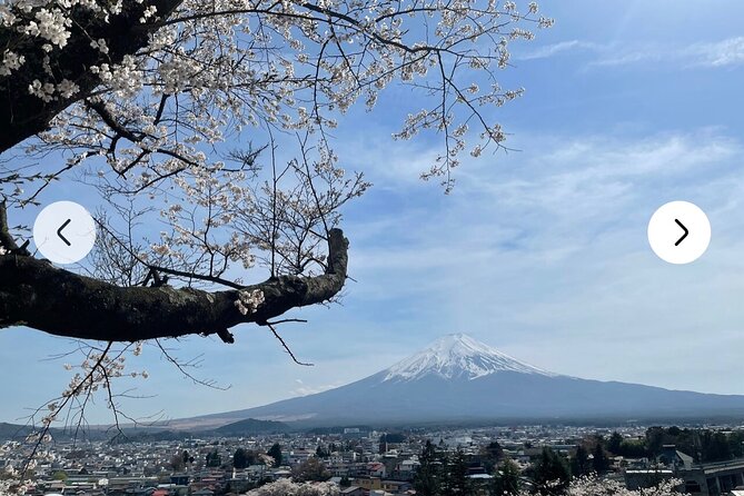 Mt. Fuji, Hakone Full-Day Private Tour with English Driver Guide - Fuji-Q Highland and the less obvious stops