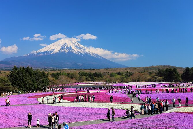 Mt. Fuji, Hakone Full-Day Private Tour with English Driver Guide - Tokyo pickup and the long road to Fuji