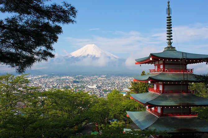 Mt. Fuji & Hakone Private Day Tour with English-Speaking Driver - Why this private Fuji and Hakone day works