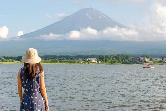 Mt. Fuji & Hakone Private Day Tour with English-Speaking Driver - Riding the Hakone Ropeway