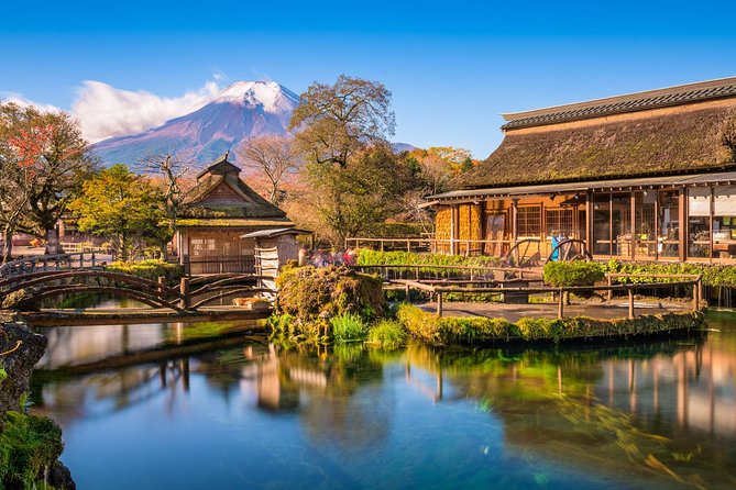 Mt. Fuji & Hakone Private Day Tour with English-Speaking Driver - The 8 a.m. departure from Tokyo