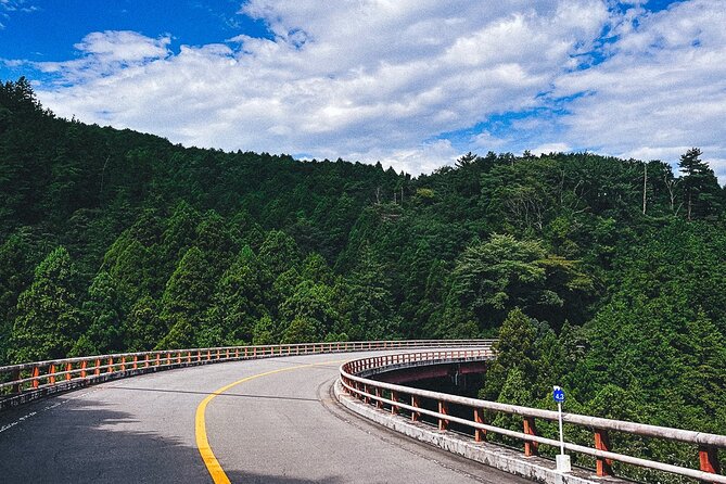Mt. Fuji, Hakone Private Tour from Tokyo - Onsen, Arts and Nature - Lunch is flexible, but it is not included