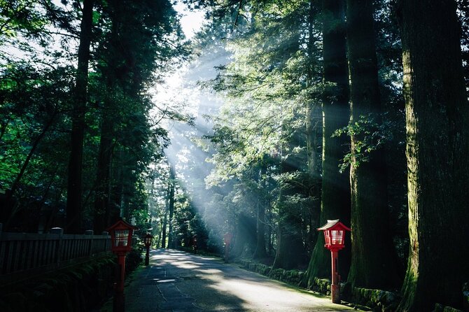Mt. Fuji, Hakone Private Tour from Tokyo - Onsen, Arts and Nature - The onsen is the day’s most relaxing stop