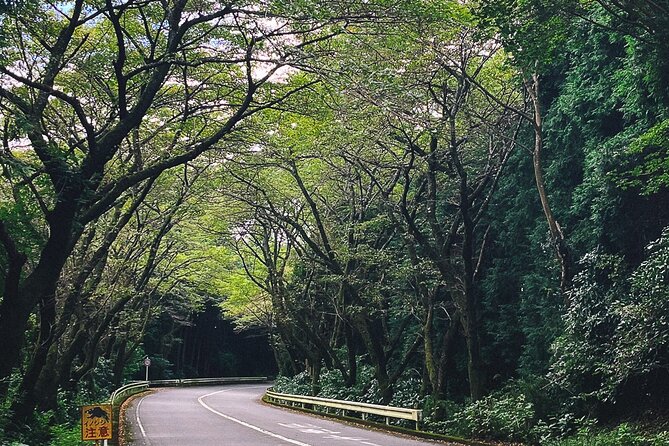 Mt. Fuji, Hakone Private Tour from Tokyo - Onsen, Arts and Nature - Choose between art in the open air or art in the forest