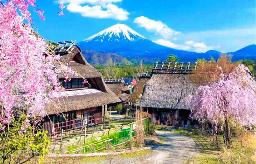 Mt. Fuji Heritage Tour: Traditional Villages, Lakes & Shrine - Lake Kawaguchi, Oishi Park, and the seasonal route change