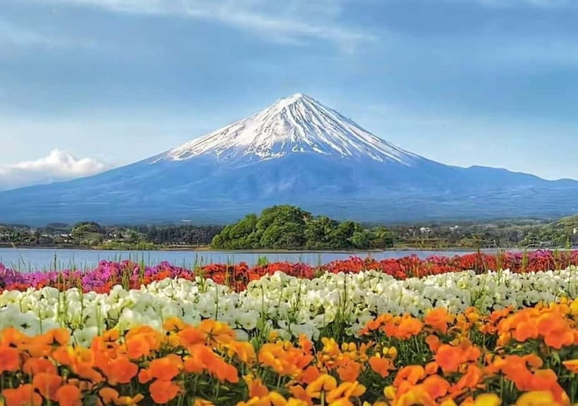 Mt. Fuji Heritage Tour: Traditional Villages, Lakes & Shrine - Arakurayama Sengen Park, shrine, and Chureito Pagoda