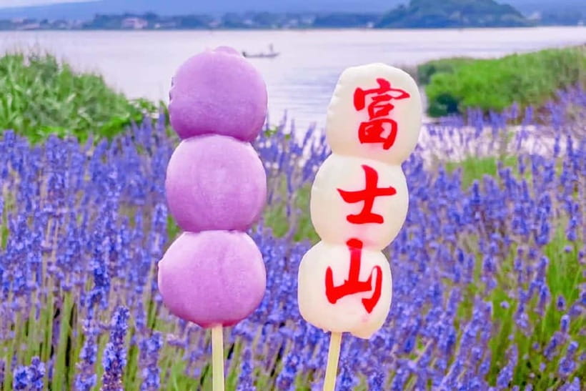 Mt. Fuji Heritage Tour: Traditional Villages, Lakes & Shrine - Lunch, snacks, and the gap in the schedule