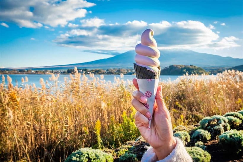Mt. Fuji Heritage Tour: Traditional Villages, Lakes & Shrine - Weather, crowds, and the realistic Fuji factor