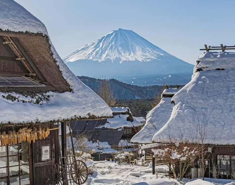 Mt. Fuji Heritage Tour: Traditional Villages, Lakes & Shrine - Saiko Iyashi no Sato Nenba and its thatched roofs