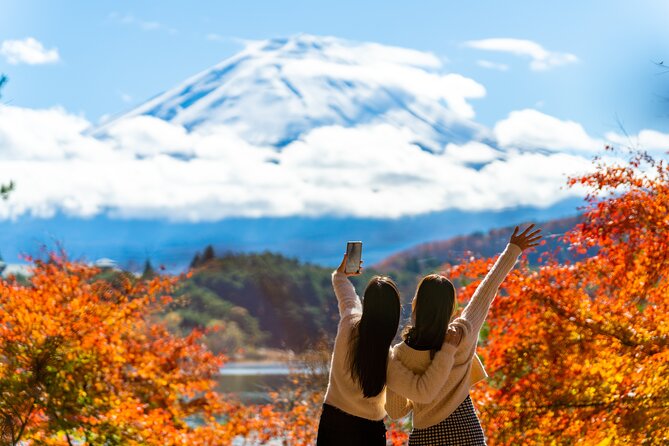 Mt. Fuji Highlight Photo Spots One Day Tour from Tokyo - Why this Fuji day trip works from Tokyo